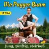 Die Pagger Buam - Jung, zünftig, steirisch - (CD)