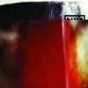 Nine Inch Nails - The Fra...