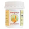 Cordyceps sinensis