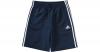 Essentials Trainingsshorts Gr. 152 Jungen Kinder