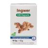 Ingwer 500 Kapseln