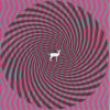 Deerhunter - Cryptograms ...