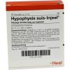 Hypophysis SUIS Injeel Am