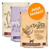 3 x 850 g Beyond Trockenfutter im gemischten Paket