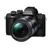 Olympus OM-D E-M10 Mark I