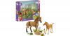 Schleich 42432 Horse Club