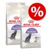 Sparpaket Royal Canin 2 x Großgebinde - Norwegisch