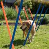 Agility Fun & Sport Slalo...