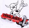 Troglauer Buam - Heavy Volxmusic-Die 2te - (CD)