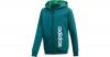 Sweatjacke mit Kapuze Gr. 164 Jungen Kinder