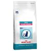 Royal Canin Skin Young Female - Vet Care Nutrition