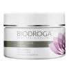 Biodroga Sweet Sugar Peel