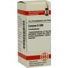 Conium D 200 Globuli