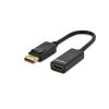 ednet DisplayPort Adapter