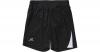 Trainingsshorts SION Gr. ...