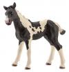 Schleich Pferd Pinto Fohl