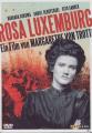Rosa Luxemburg Drama