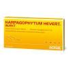 Harpagophytum Hevert Ampu...