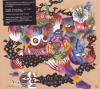 Little Dragon - Machine Dreams - (CD)