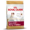 Royal Canin Cavalier King