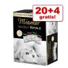 20 + 4 gratis! 24 x 100 g