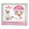 Royal Canin Kitten Probie