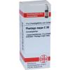 Plantago Major C 30 Globu