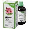 Salus® Echinacea Tropfen