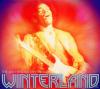 The Jimi Hendrix Experience - WINTERLAND - (CD)