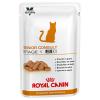 Royal Canin Neutered Seni...