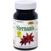 Sternanis