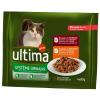 Ultima Cat Urinary - Spar...