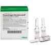 Cimicifuga-Homaccord® Ampullen