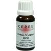 Ceres Ginkgo Dryopteris c...