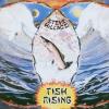 Steve Hillage Fish Rising