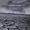 Avishai Cohen - Flood - (...