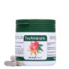 Natura Vitalis Teufelskralle 60 Kapseln (52g)