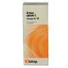 Synergon Komplex 95 Actaea spicata S Tropfen