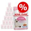 Royal Canin Kitten im Mixpaket - 24 x 85 g Soße & 