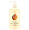 THE BODY SHOP Bodylotion 