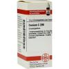 Conium C 200 Globuli