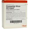 Coxsackie-virus A9 Injeel...