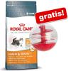 10 kg Royal Canin + Katze...