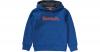 Kapuzenpullover Gr. 176 Jungen Kinder