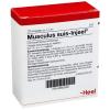 Musculus suis-Injeel® Amp...