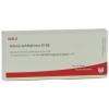 Wala® Arteria ophthalmica Gl D 6