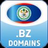 .bz-Domain