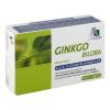 Ginkgo 100 mg Kapseln+B1+...