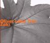 Oliver Trio Lake - Zaki - (CD)