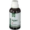 Life Light® Alpensegen In